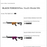 Black Forge Youth AR-15s Web border