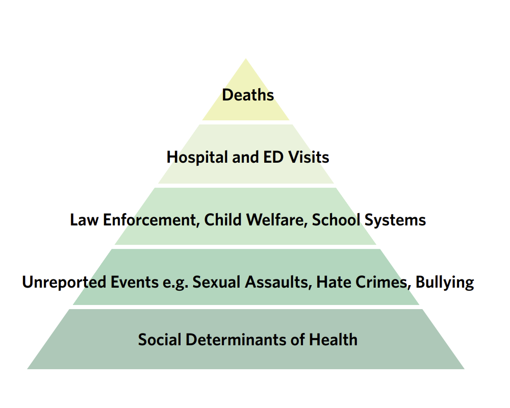 Data Collection in California in Support of Violence Prevention: Strengths, Limitations, and Opportunities