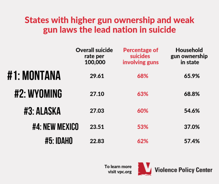 Social Media Graphics States with Higher Gun Ownership and Weak Gun