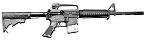 bushmaster assault weapon
