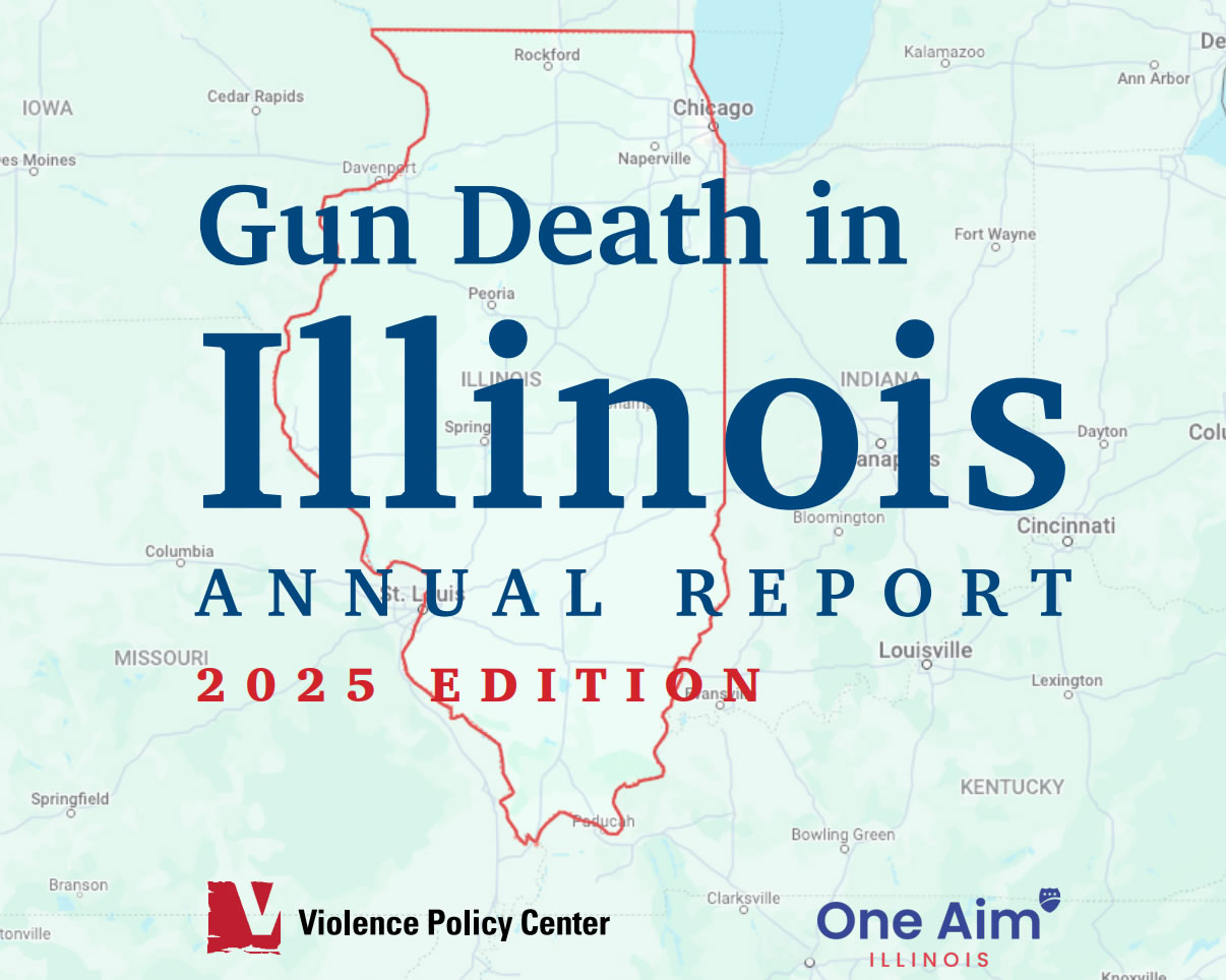 Gun Death in Illinois: Annual Report 2025 Edition